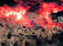 タキオトシ（オキ）の写真