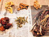 みのぼし大根、ナス、カブ、ズイキキ、ヤマクラゲ、硬い干し柿の写真