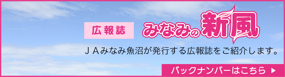 広報誌 みなみの新風