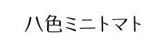 八色ミニトマト