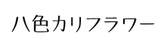 八色カリフラワー