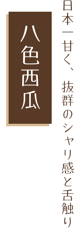 日本一甘く、抜群のシャリ感と舌触り 八色西瓜