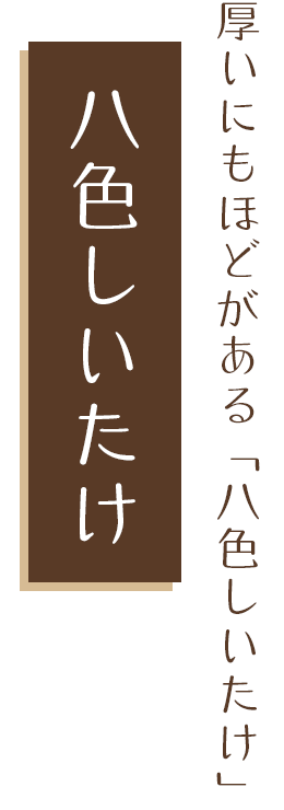 厚いにもほどがある「八色しいたけ」 八色しいたけ