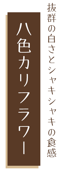 抜群の白さとシャキシャキの食感 八色カリフラワー