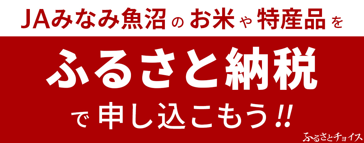 ふるさと納税で申し込もう！