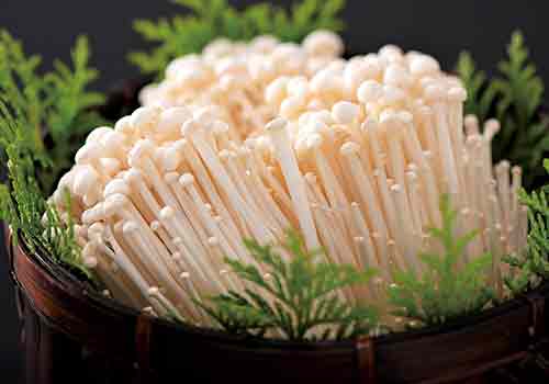 えのきたけの写真