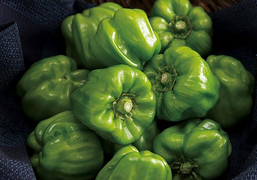 かぐらなんばんの写真