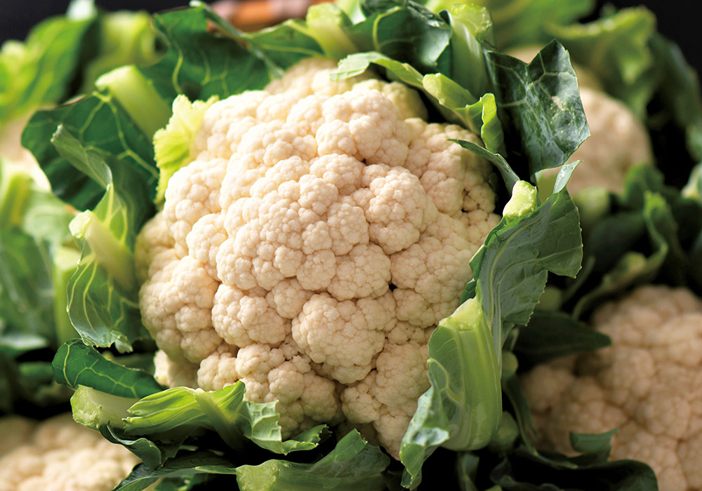 カリフラワーの写真