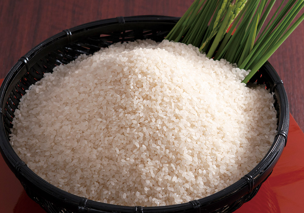 ザルに入ったコシヒカリの写真