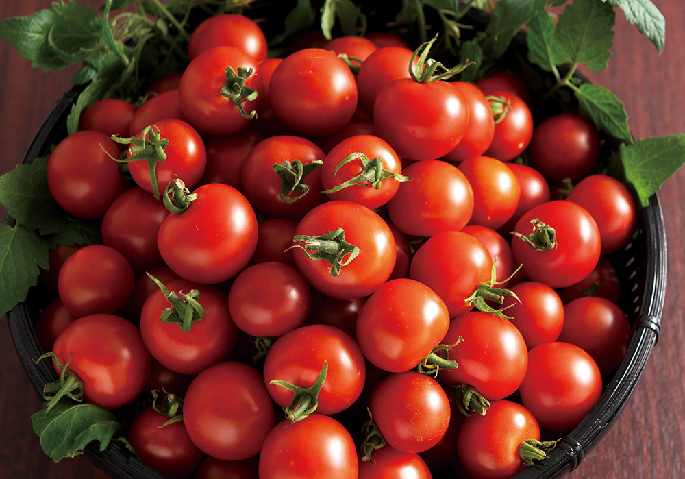 ミニトマトの写真