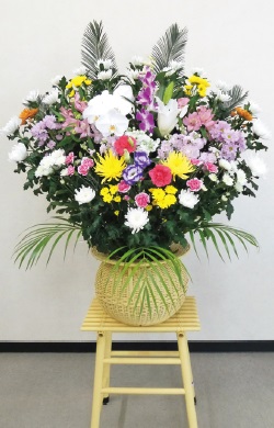 カゴ盛り(小ダルマ)